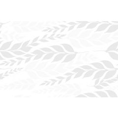 CERAMICA CANARIA BLANCO 1RA 22x34 (2.07 M2)