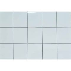 CERAMICA AZULEJO BLANCO 2DA 25405 20X30 (1.50M2)