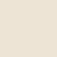PORCELANATO PULIDO BEIGE JS6800 60 X 60 (1.44 M2)