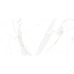 PORCELANATO STATUARIO REGAL GOLD 1RA 120X60 1,44M2